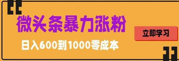 微头条暴力涨粉技巧搬运文案就能涨几万粉丝，简单0成本，日赚600大成网创吧-网创项目资源站-副业项目-创业项目-搞钱项目大成网创吧