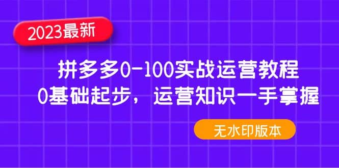 2023拼多多0-100实战运营教程，0基础起步，运营知识一手掌握（无水印）大成网创吧-网创项目资源站-副业项目-创业项目-搞钱项目大成网创吧