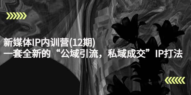 新媒体IP内训营(12期)，一套全新的“公域引流，私域成交”IP打法，直接带走大成网创吧-网创项目资源站-副业项目-创业项目-搞钱项目大成网创吧