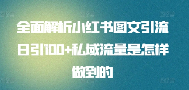 日引流100私域流量小红书图文是怎样做到的全面解析大成网创吧-网创项目资源站-副业项目-创业项目-搞钱项目大成网创吧