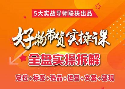 抖音好物带货实操课，全盘拆解抖音好物带货号全套流程打法大成网创吧-网创项目资源站-副业项目-创业项目-搞钱项目大成网创吧