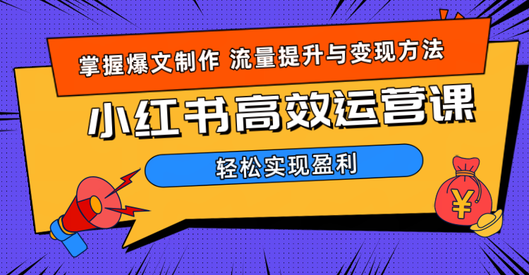 价值980小红书运营操作指南大成网创吧-网创项目资源站-副业项目-创业项目-搞钱项目大成网创吧