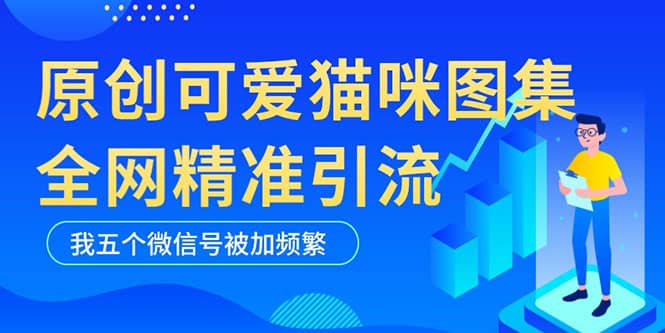 黑科技纯原创可爱猫咪图片，全网精准引流，实操5个VX号被加频繁大成网创吧-网创项目资源站-副业项目-创业项目-搞钱项目大成网创吧