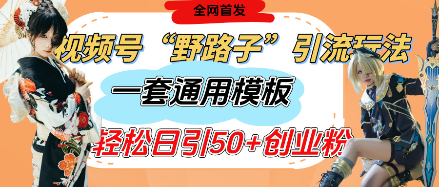 视频号“野路子”玩法，评论区疯狂截流，一套模板单日单号引流50+创业粉大成网创吧-网创项目资源站-副业项目-创业项目-搞钱项目大成网创吧