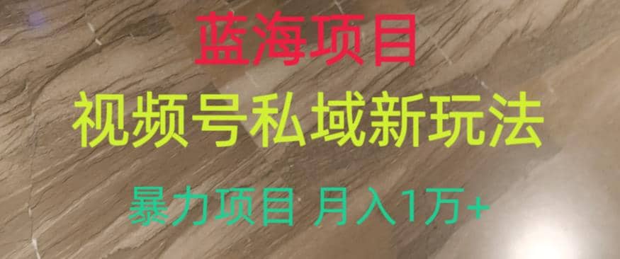 蓝海项目，视频号私域新玩法，暴力项目月入1万+【揭秘】大成网创吧-网创项目资源站-副业项目-创业项目-搞钱项目大成网创吧