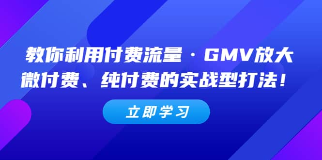 教你利用付费流量·GMV放大，微付费、纯付费的实战型打法大成网创吧-网创项目资源站-副业项目-创业项目-搞钱项目大成网创吧