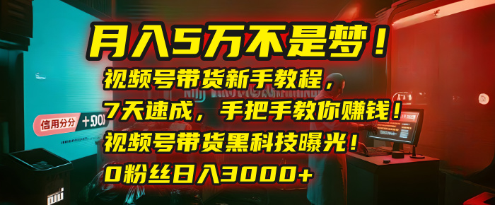 月入5万不是梦！视频号带货新手教程，7天速成，手把手教你赚钱！视频号带货黑科技曝光！0粉丝日入3000+大成网创吧-网创项目资源站-副业项目-创业项目-搞钱项目大成网创吧