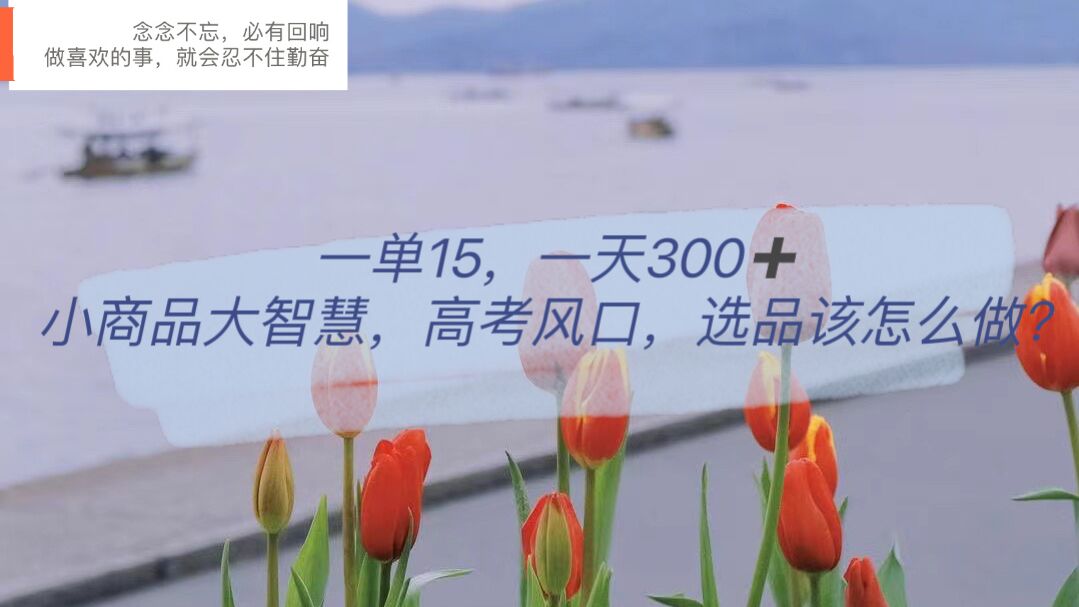 一单15，一天300+，小商品大智慧，高考风口，选品该怎么布局大成网创吧-网创项目资源站-副业项目-创业项目-搞钱项目大成网创吧