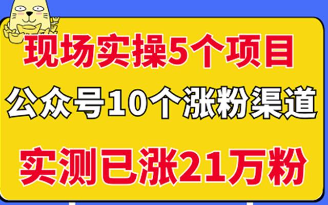 现场实操5个公众号项目,10个涨粉渠道,实测已涨21万粉!大成网创吧-网创项目资源站-副业项目-创业项目-搞钱项目大成网创吧