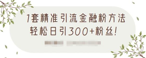 1套精准引流金融粉方法，轻松日引300+粉丝【视频课程】大成网创吧-网创项目资源站-副业项目-创业项目-搞钱项目大成网创吧