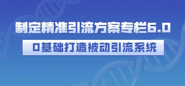 制定精准引流方案专栏6.0，0基础打造被动引流系统大成网创吧-网创项目资源站-副业项目-创业项目-搞钱项目大成网创吧