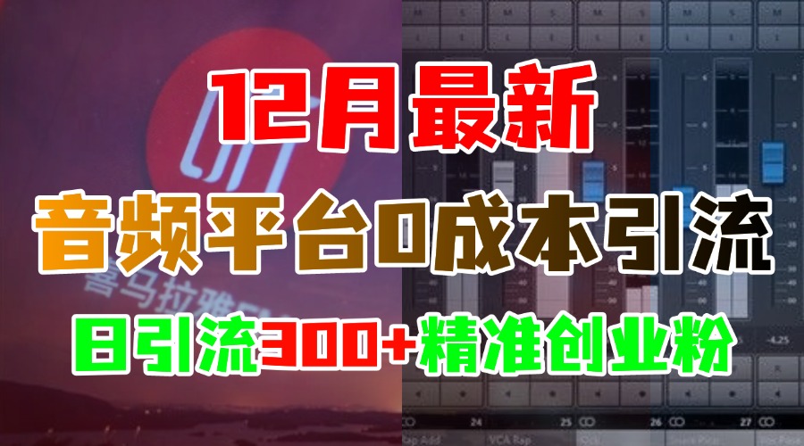 12月最新：音频平台0成本引流，日引300+精准创业粉大成网创吧-网创项目资源站-副业项目-创业项目-搞钱项目大成网创吧