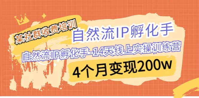 某社群收费培训：自然流IP 孵化手-14天线上实操训练营 4个月变现200w大成网创吧-网创项目资源站-副业项目-创业项目-搞钱项目大成网创吧