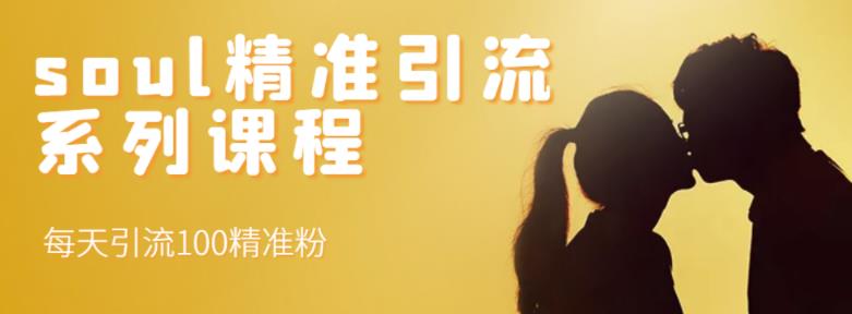soul精准引流系列课程，每天引流100精准粉大成网创吧-网创项目资源站-副业项目-创业项目-搞钱项目大成网创吧