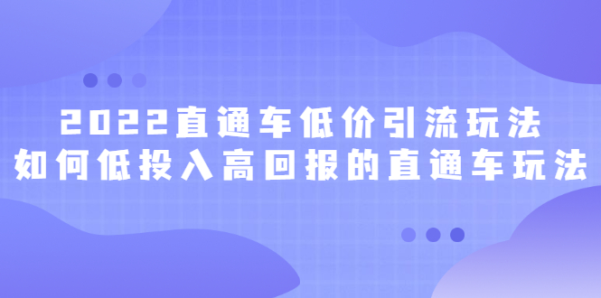 2022直通车低价引流玩法，教大家如何低投入高回报的直通车玩法大成网创吧-网创项目资源站-副业项目-创业项目-搞钱项目大成网创吧