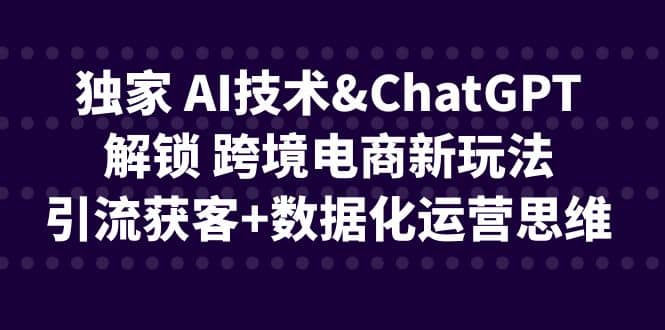 独家 AI技术ChatGPT解锁 跨境电商新玩法，引流获客+数据化运营思维大成网创吧-网创项目资源站-副业项目-创业项目-搞钱项目大成网创吧