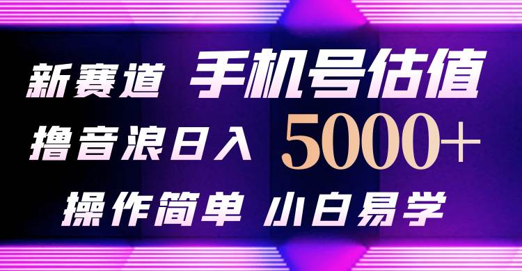 抖音不出境直播【手机号估值】最新撸音浪，日入5000+，简单易学，适合…大成网创吧-网创项目资源站-副业项目-创业项目-搞钱项目大成网创吧