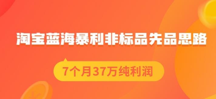 盗坤淘宝蓝海暴利非标品先品思路，7个月37万纯利润，压箱干货分享！【付费文章】大成网创吧-网创项目资源站-副业项目-创业项目-搞钱项目大成网创吧