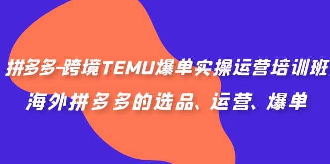 拼多多-跨境TEMU爆单实操运营培训班，海外拼多多的选品、运营、爆单大成网创吧-网创项目资源站-副业项目-创业项目-搞钱项目大成网创吧
