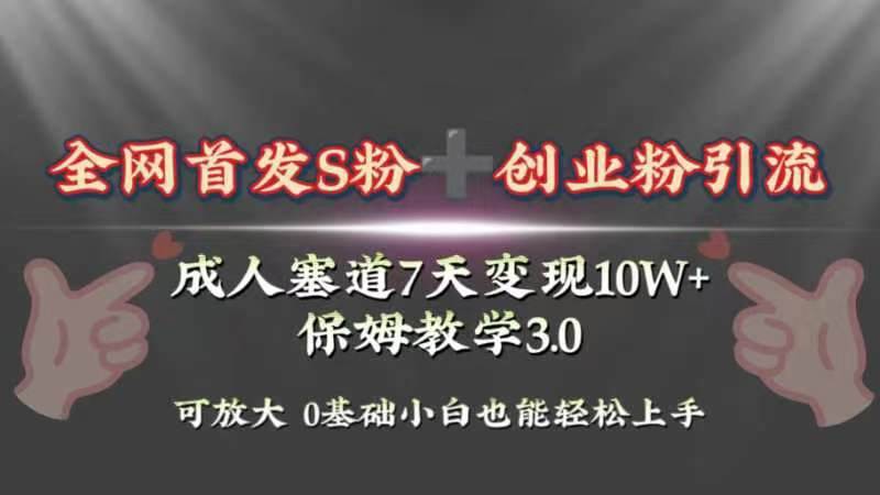全网首发s粉加创业粉引流变现，成人用品赛道7天变现10w+保姆教学3.0大成网创吧-网创项目资源站-副业项目-创业项目-搞钱项目大成网创吧