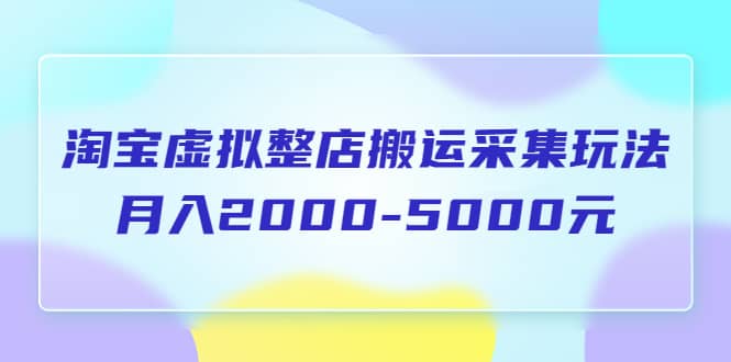 淘宝虚拟整店搬运采集玩法分享课：月入2000-5000元（5节课）大成网创吧-网创项目资源站-副业项目-创业项目-搞钱项目大成网创吧