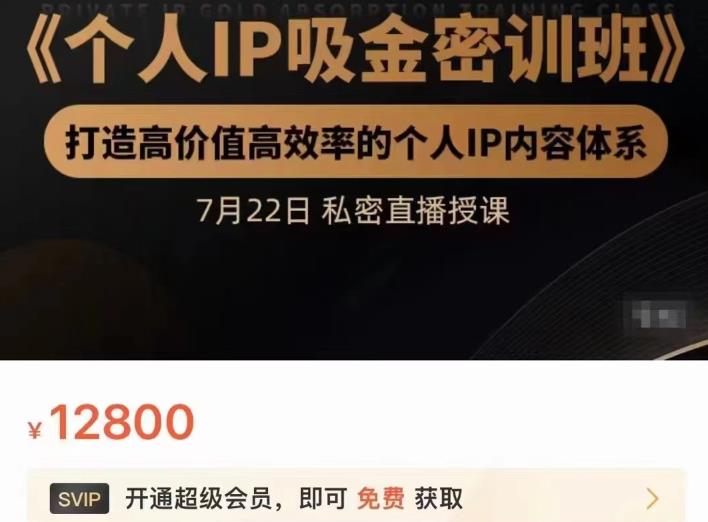 个人IP吸金密训班，打造高价值高效率的个人IP内容体系（价值12800元）大成网创吧-网创项目资源站-副业项目-创业项目-搞钱项目大成网创吧