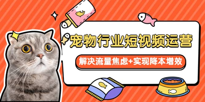 宠物/行业短视频运营 流量增长的一层窗户纸 解决流量焦虑+实现降本增效大成网创吧-网创项目资源站-副业项目-创业项目-搞钱项目大成网创吧