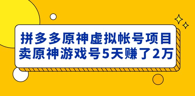 外面卖2980的拼多多原神虚拟帐号项目大成网创吧-网创项目资源站-副业项目-创业项目-搞钱项目大成网创吧