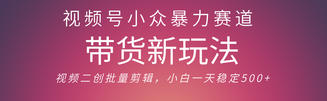 视频号小众暴力赛道,最新带货玩法 小白也能轻松日入500+ 保姆及教程大成网创吧-网创项目资源站-副业项目-创业项目-搞钱项目大成网创吧