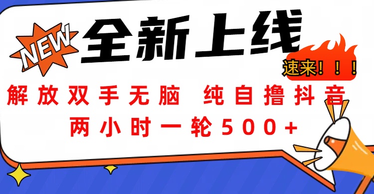 解放双手无脑 纯自撸抖音 两小时一轮500+大成网创吧-网创项目资源站-副业项目-创业项目-搞钱项目大成网创吧