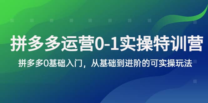 拼多多-运营0-1实操训练营，拼多多0基础入门，从基础到进阶的可实操玩法大成网创吧-网创项目资源站-副业项目-创业项目-搞钱项目大成网创吧