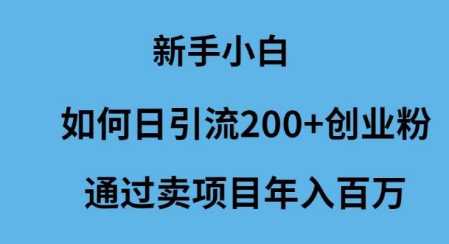 新手小白如何日引流200+创业粉通过卖项目年入百万大成网创吧-网创项目资源站-副业项目-创业项目-搞钱项目大成网创吧