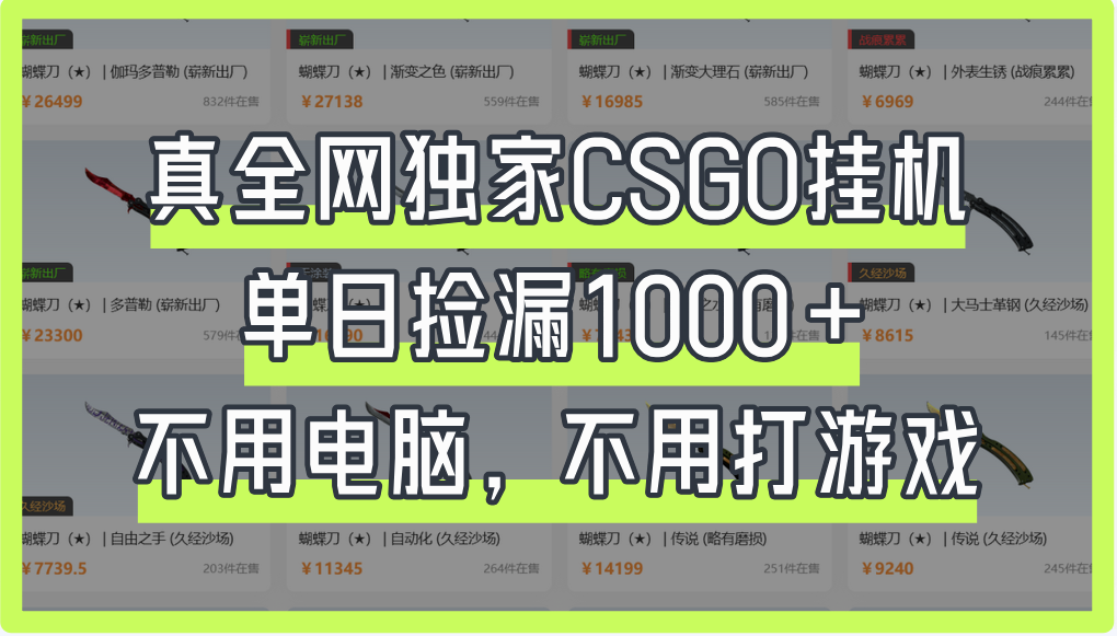 真全网独家CSGO挂机，单日捡漏1000+大成网创吧-网创项目资源站-副业项目-创业项目-搞钱项目大成网创吧