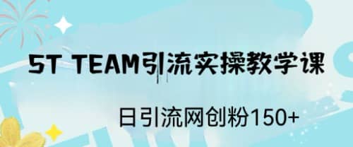 ST TEAM引流实操课，日引流网创粉100+大成网创吧-网创项目资源站-副业项目-创业项目-搞钱项目大成网创吧