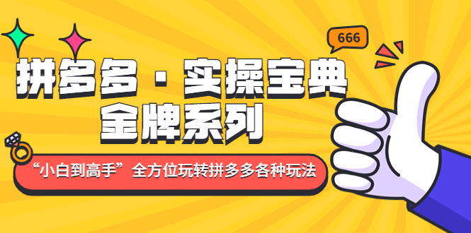 拼多多·实操宝典：金牌系列“小白到高手”带你全方位玩转拼多多各种玩法大成网创吧-网创项目资源站-副业项目-创业项目-搞钱项目大成网创吧