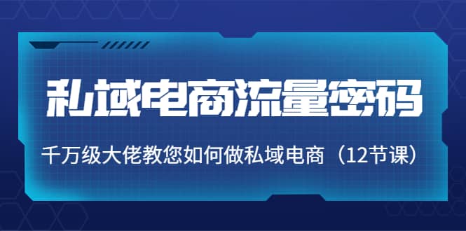 私域电商流量密码：千万级大佬教您如何做私域电商（12节课）大成网创吧-网创项目资源站-副业项目-创业项目-搞钱项目大成网创吧