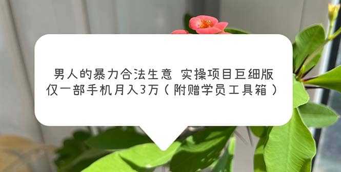 男人的暴力合法生意实操项目巨细版：仅一部手机月入3w（附赠学员工具箱）大成网创吧-网创项目资源站-副业项目-创业项目-搞钱项目大成网创吧