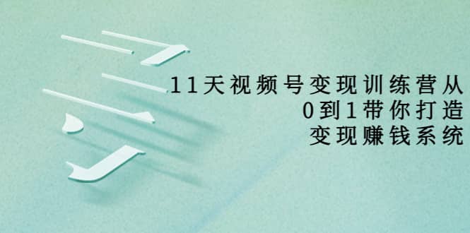 好望角·11天视频号变现训练营，从0到1打造变现赚钱系统（价值398）大成网创吧-网创项目资源站-副业项目-创业项目-搞钱项目大成网创吧