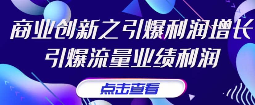 《商业创新之引爆利润增长》引爆流量业绩利润大成网创吧-网创项目资源站-副业项目-创业项目-搞钱项目大成网创吧