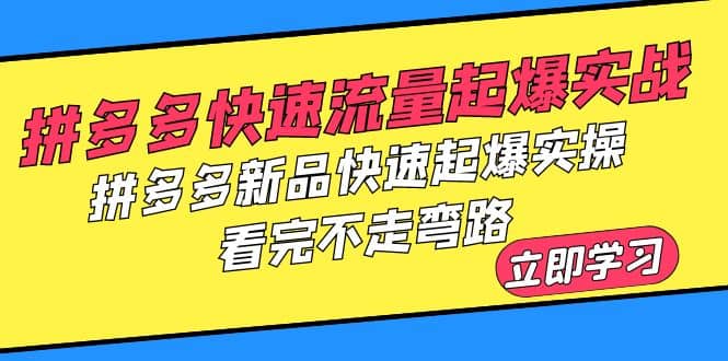 拼多多-快速流量起爆实战，拼多多新品快速起爆实操，看完不走弯路大成网创吧-网创项目资源站-副业项目-创业项目-搞钱项目大成网创吧