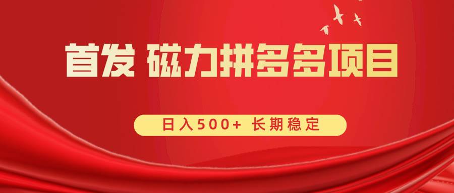 首发 磁力拼多多自撸  日入500+大成网创吧-网创项目资源站-副业项目-创业项目-搞钱项目大成网创吧