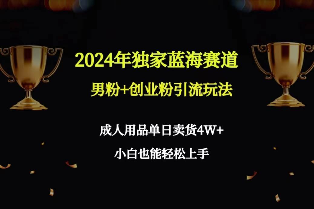 2024年独家蓝海赛道男粉+创业粉引流玩法，成人用品单日卖货4W+保姆教程大成网创吧-网创项目资源站-副业项目-创业项目-搞钱项目大成网创吧