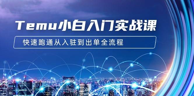 Temu小白入门实战课：跨境拼多多电商培训 快速跑通从入驻到出单全流程-12节大成网创吧-网创项目资源站-副业项目-创业项目-搞钱项目大成网创吧