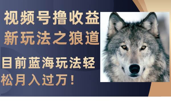 视频号撸收益新玩法之狼道，目前蓝海玩法轻松月入过万！大成网创吧-网创项目资源站-副业项目-创业项目-搞钱项目大成网创吧