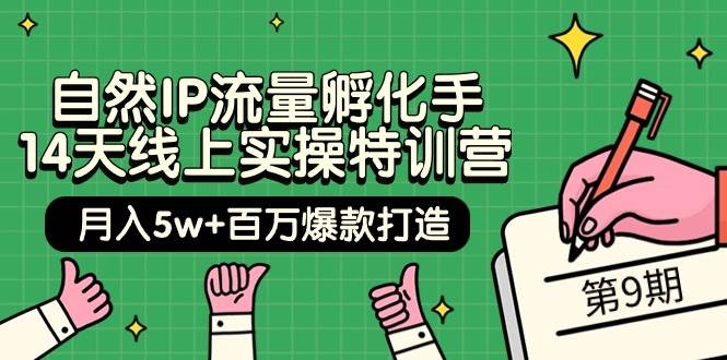 自然IP流量孵化手 14天线上实操特训营【第9期】月入5w+百万爆款打造 (74节)大成网创吧-网创项目资源站-副业项目-创业项目-搞钱项目大成网创吧