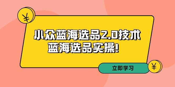 拼多多培训第33期：小众蓝海选品2.0技术-蓝海选品实操！大成网创吧-网创项目资源站-副业项目-创业项目-搞钱项目大成网创吧