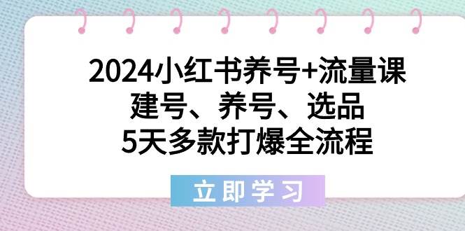 2024小红书养号+流量课：建号、养号、选品，5天多款打爆全流程大成网创吧-网创项目资源站-副业项目-创业项目-搞钱项目大成网创吧
