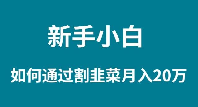 新手小白如何通过割韭菜月入 20W大成网创吧-网创项目资源站-副业项目-创业项目-搞钱项目大成网创吧