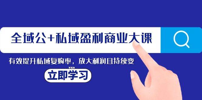 全域公+私域盈利商业大课，有效提升私域复购率，放大利润且持续变现大成网创吧-网创项目资源站-副业项目-创业项目-搞钱项目大成网创吧