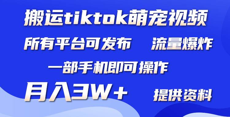 搬运Tiktok萌宠类视频，一部手机即可。所有短视频平台均可操作，月入3W+大成网创吧-网创项目资源站-副业项目-创业项目-搞钱项目大成网创吧